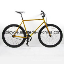 Popular Single Speed Fixed Gear Bikes with Alloy Hub